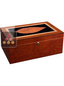 Cigar Humidor Adorini