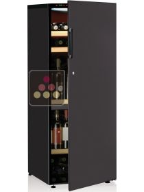 Dual temperature wine cabinet for ageing and and serving chilled wines CALICE