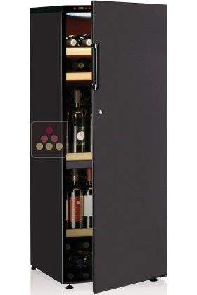 Dual temperature wine cabinet for ageing and and serving chilled wines
