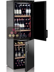 Combined 2 Single temperature wine service and/or ageing cabinets CALICE