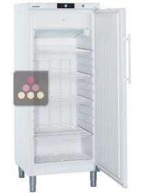 Freestanding professional freezer 337L LIEBHERR