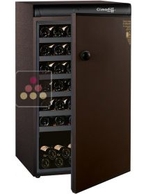 Single temperature wine ageing cabinet CLIMADIFF