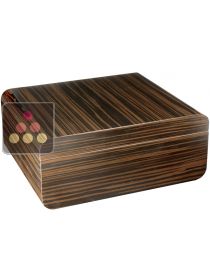 Compact Cigar Humidor - Lacquered ebony finish Adorini