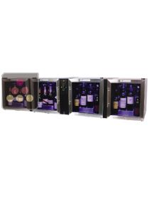 Combination of 4 wine service cabinets with a preservation system for opened wine bottles LE VERRE DE VIN