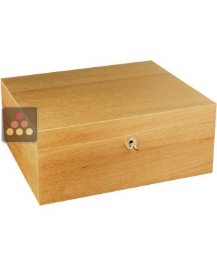 Compact Cigar Humidor Adorini