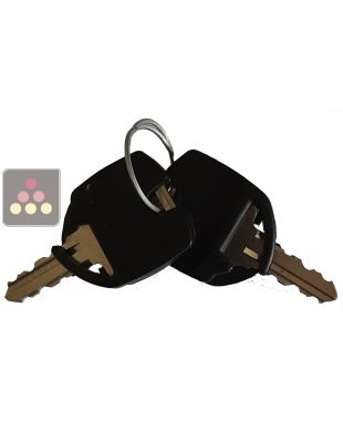 2 replacement keys for Artevino wine cabinet with solid door
 ARTEVINO