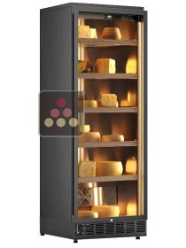 Cheese preservation cabinet built in up to 80Kg CALICE