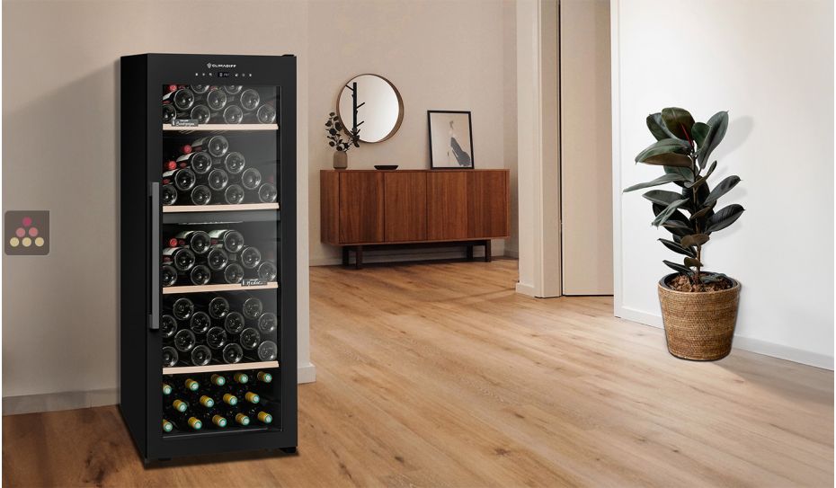 2 temperature wine cabinet for service and ageing