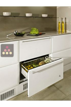 Built-in drawer fridge with customizable facade pannel