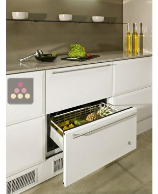 Built-in drawer fridge with customizable facade pannel NORCOOL