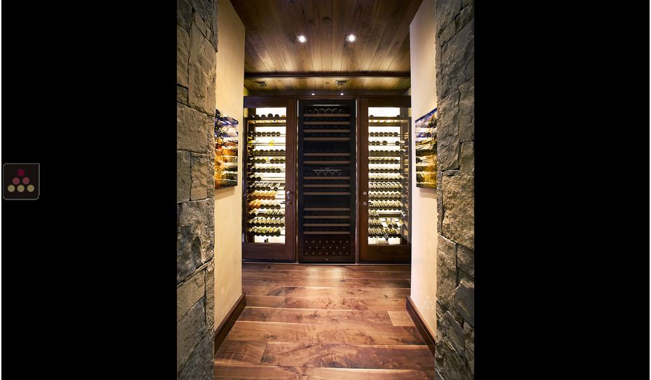 Multi-purpose dual temperature wine cabinet