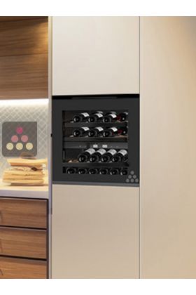 Dual temperature built in wine cabinet for service self-ventilated - Push open door