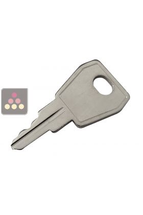 Key NO.1001 for model Liebherr 