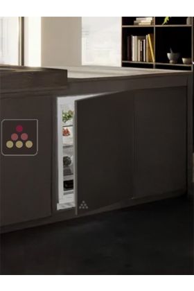 Mini fridge : can be fitted under counter with decorative panel coverable - 127 Litres