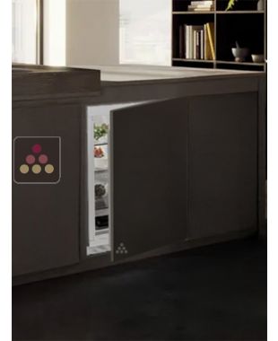 Mini fridge : can be fitted under counter with decorative panel coverable - 127 Litres LIEBHERR
