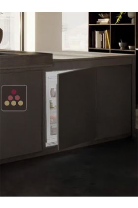 Mini fridge : can be fitted under counter with decorative panel coverable - 127 Litres