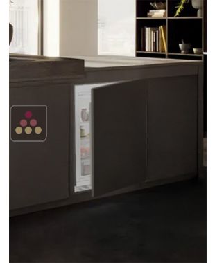 Mini fridge : can be fitted under counter with decorative panel coverable - 127 Litres LIEBHERR