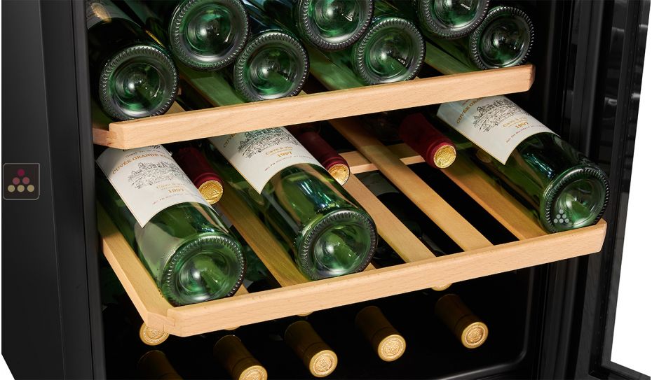 2 temperature wine cabinet for service 