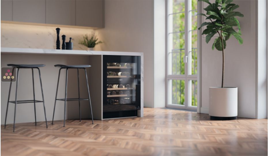 Dual temperature cellar for service - can be built-in under a counter