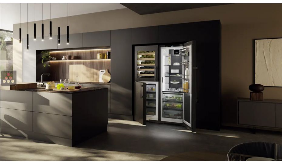 BlackSteel combined wine cabinet, freezer, refrigerator & ice maker with biofresh area