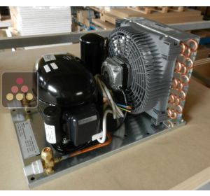 Remote compressor for 2 Calice Design cabinets - Indoor installation - Water-cooled refrigeration unit CALICE DESIGN