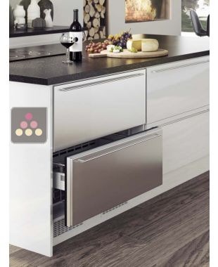Built-in drawer freezer with customizable facade pannel NORCOOL