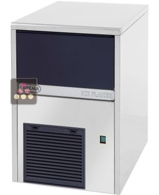 Ice flakes maker up to 67kg/24h with 10kg of integrated storage - Freestanding - Air-cooled condenser BREMA