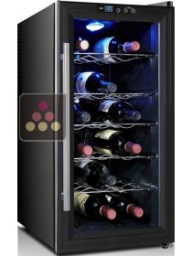 Single temperature wine cooling wine cabinet CAVISS