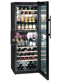 Dual temperature wine cabinet for storage and/or service LIEBHERR