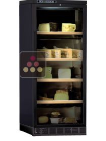 Cheese preservation cabinet built in up to 80Kg CALICE