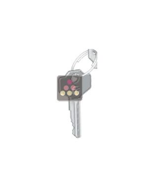 Replacement key for Calice Model ACI-CAL472 CALICE