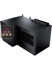 Monobloc air conditionner 1 temperature - Cold production only - Down evacuation with doble condensates Evaporation tray -20m3 FRIAX