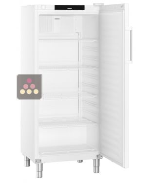 Forced-air professional refrigerator GN 2/1 - ABS interior - 419L LIEBHERR PRO
