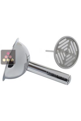 Decanting funnel with removable filter
